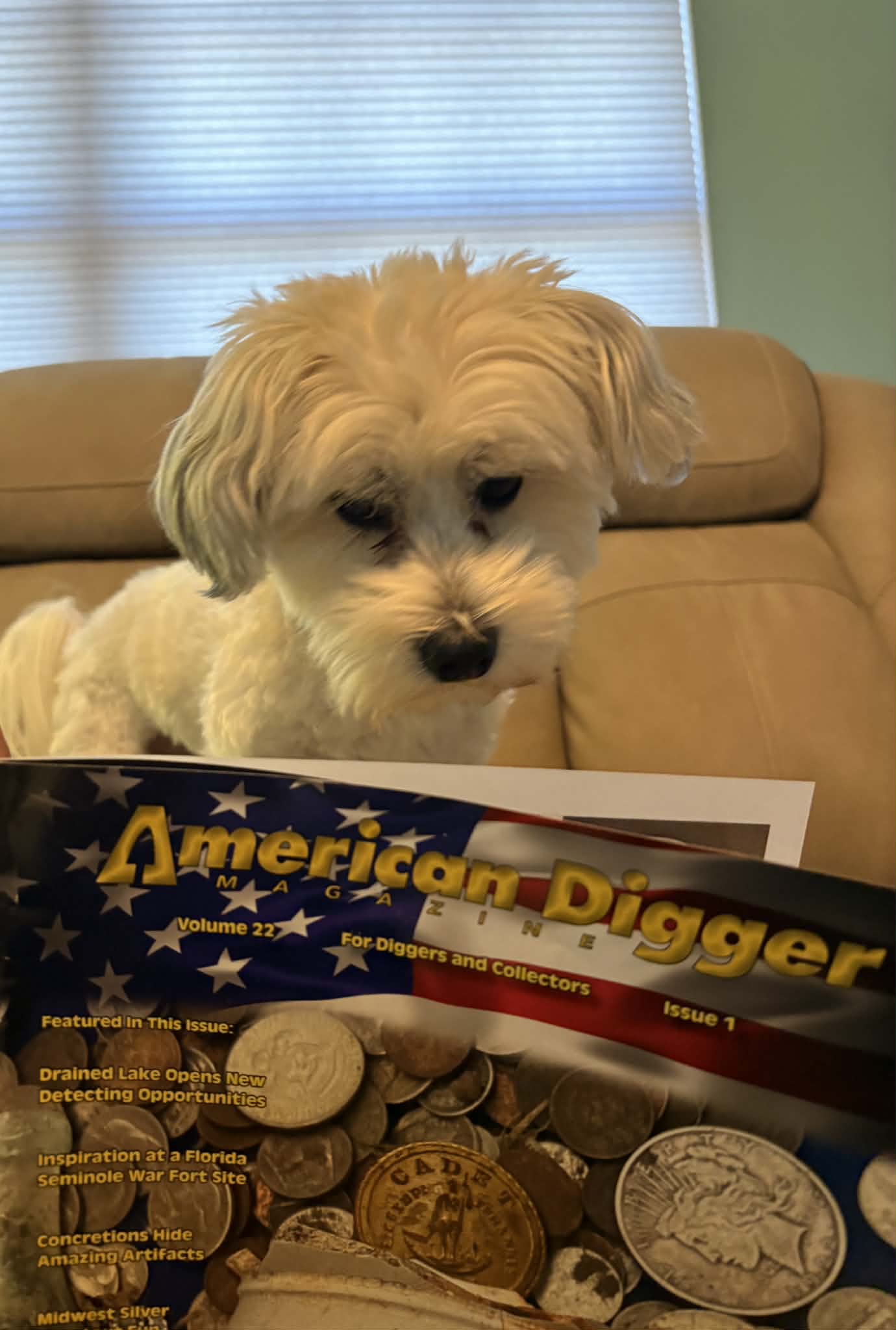 Vote for Phil's pet Cody! Vote for Phil's pet Cody!